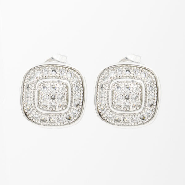 Aretes - AR36134