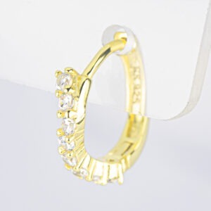 Aretes - AR37954