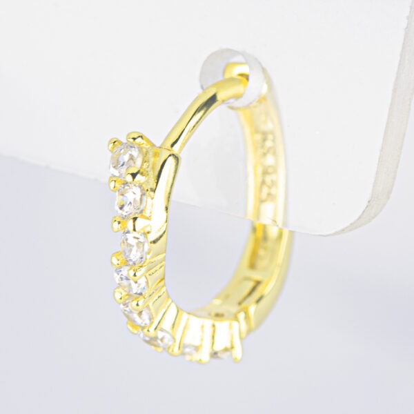 Aretes - AR37954